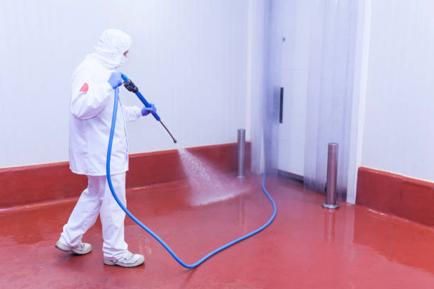 Best Patio and Deck Pressure Washing  in Harlem Heights, FL